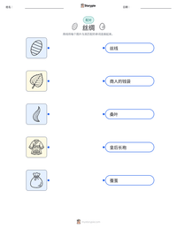 丝绸 可打印工作表预览
