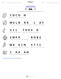 Silk printable worksheet preview