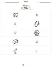 Silk printable worksheet preview