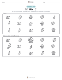 Silk printable worksheet preview