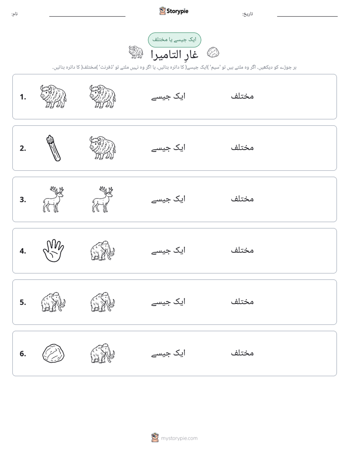 ایک جیسا یا مختلف