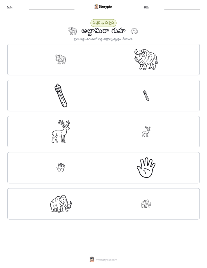 వర్గీకరణ