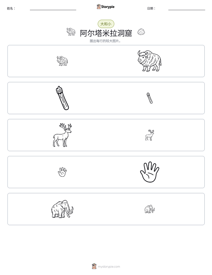 分类