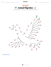 Animal Migration printable worksheet preview
