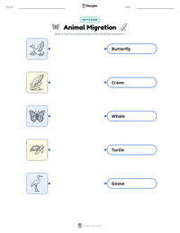 Animal Migration printable worksheet for kids