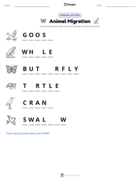 Animal Migration printable worksheet preview