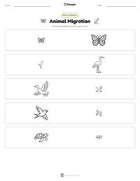 Animal Migration printable worksheet preview