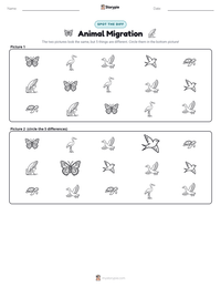 Animal Migration printable worksheet preview