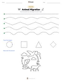 Animal Migration printable worksheet preview