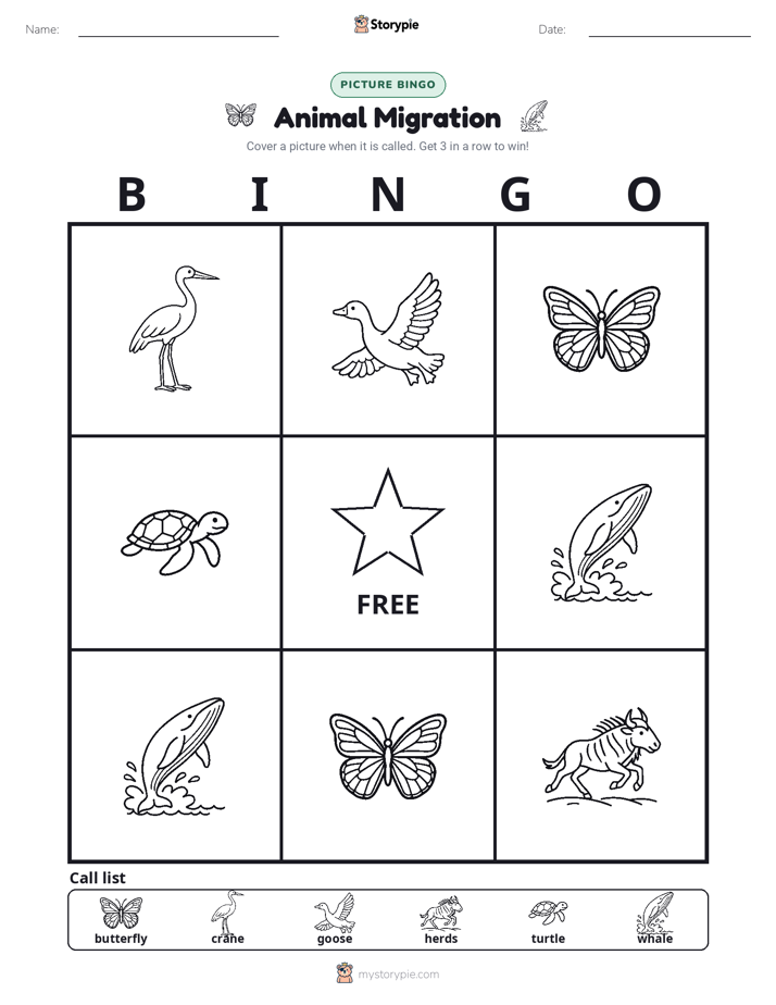 Picture Bingo