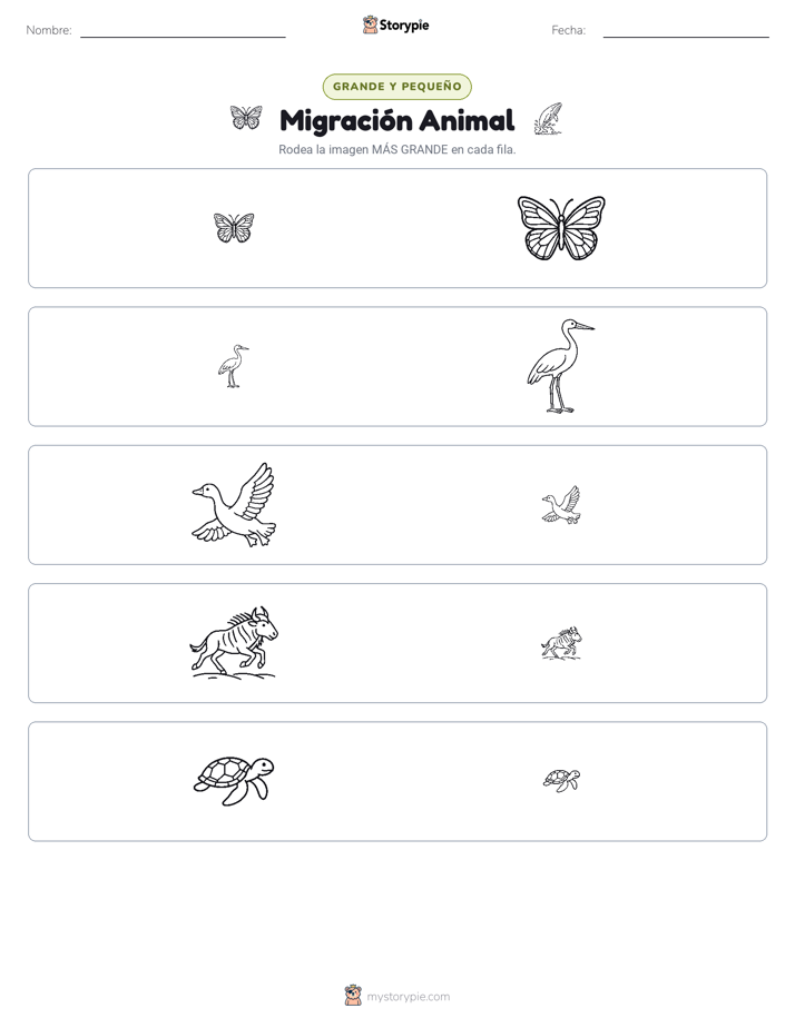 Clasificación