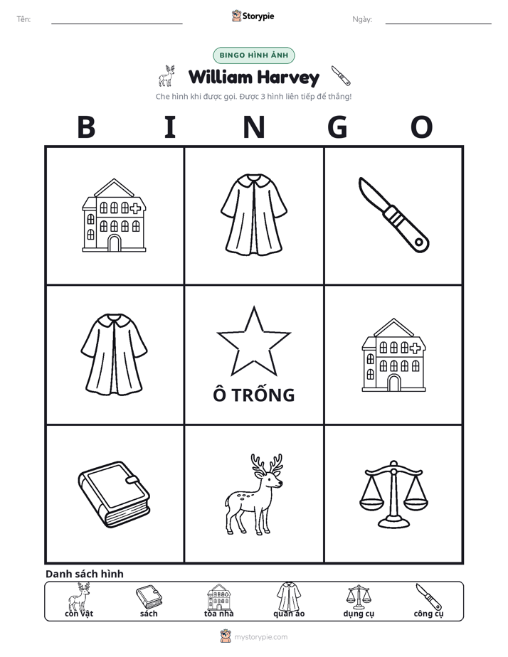 Bingo Hình Ảnh