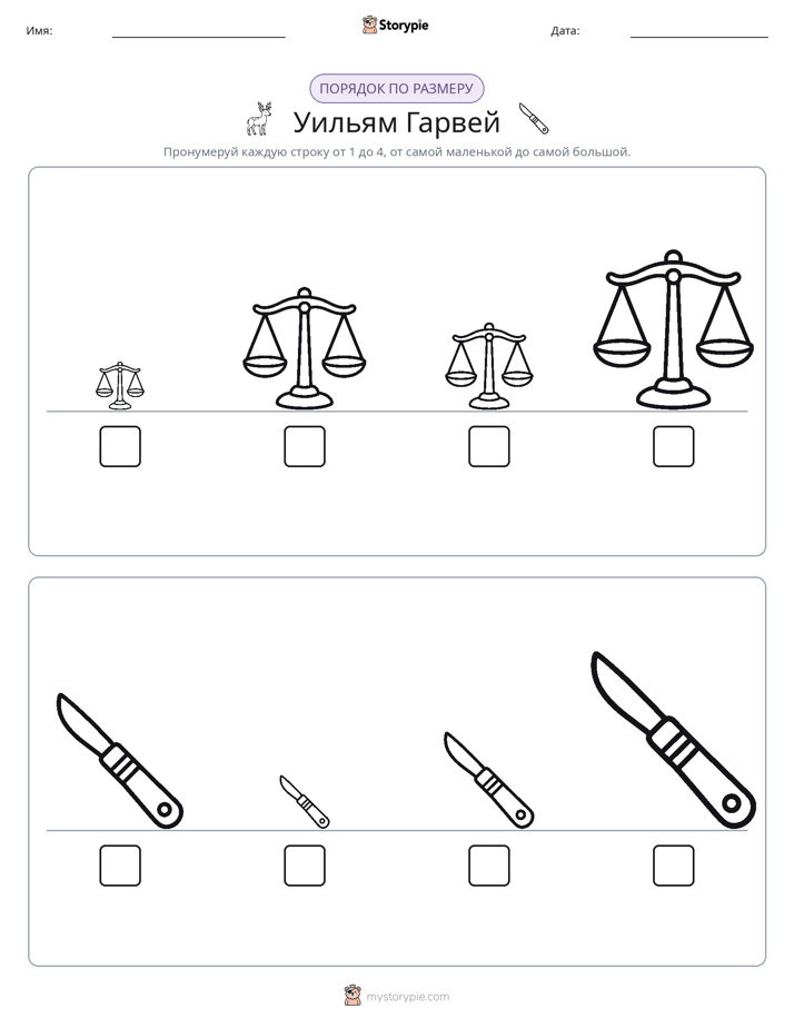 Размеры в порядке