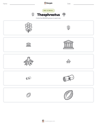 Theophrastus printable worksheet preview