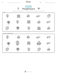 Theophrastus پرنٹ کرنے کے قابل ورکشیٹ کا پیش نظارہ
