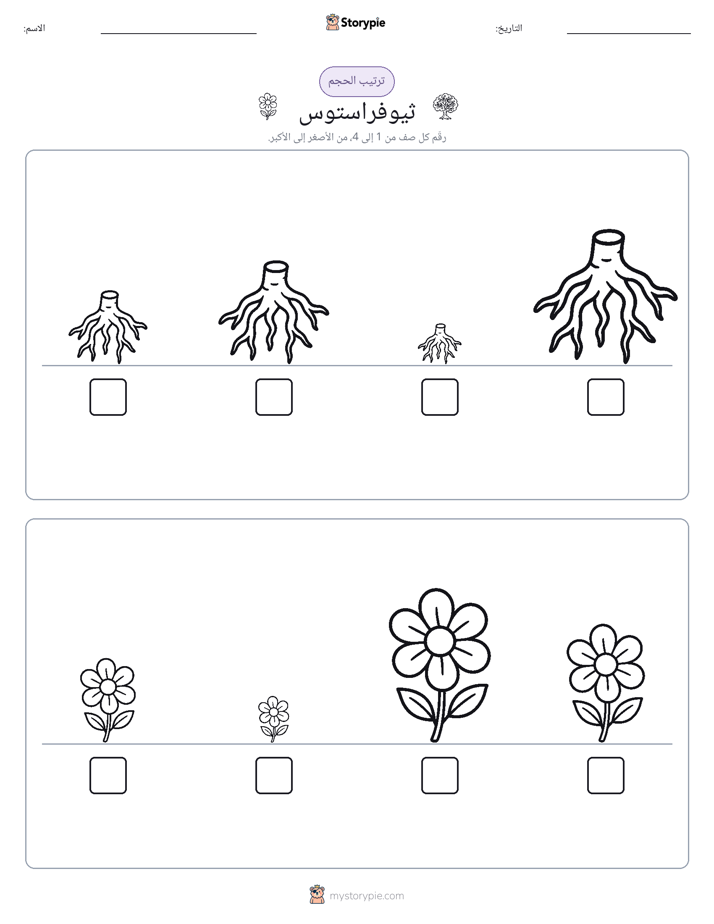 ترتيب الحجم