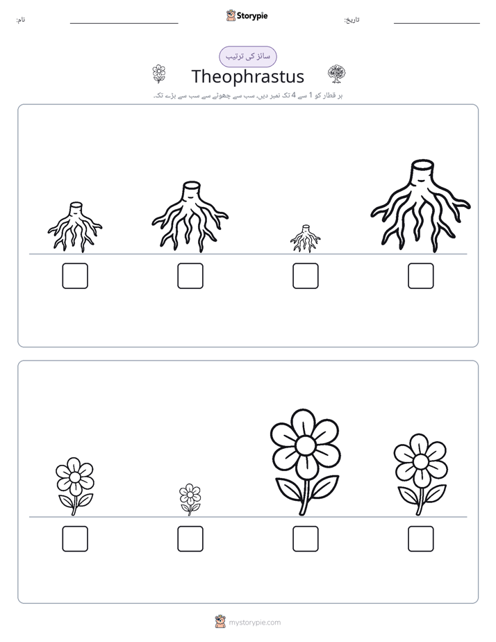 سائز کی ترتیب
