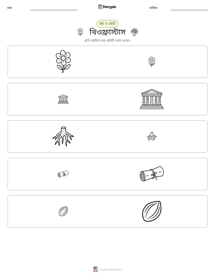 সাজানো