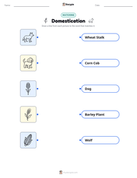 Domestication printable worksheet preview
