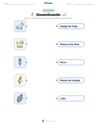 Vista previa de la hoja de trabajo imprimible de Domesticación