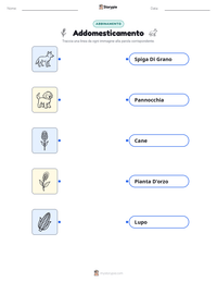 Anteprima della scheda stampabile di Addomesticamento