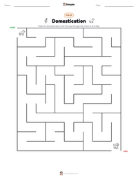 Domestication printable worksheet preview