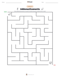 Anteprima della scheda stampabile di Addomesticamento