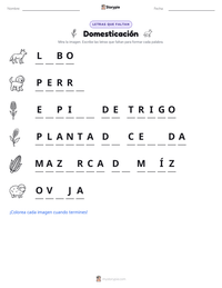 Vista previa de la hoja de trabajo imprimible de Domesticación