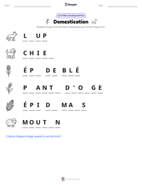 Aperçu de la feuille de travail imprimable Domestication