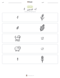 معاينة ورقة العمل القابلة للطباعة التدجين