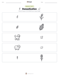 Aperçu de la feuille de travail imprimable Domestication