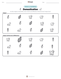 Aperçu de la feuille de travail imprimable Domestication
