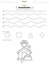 Domestication printable worksheet preview