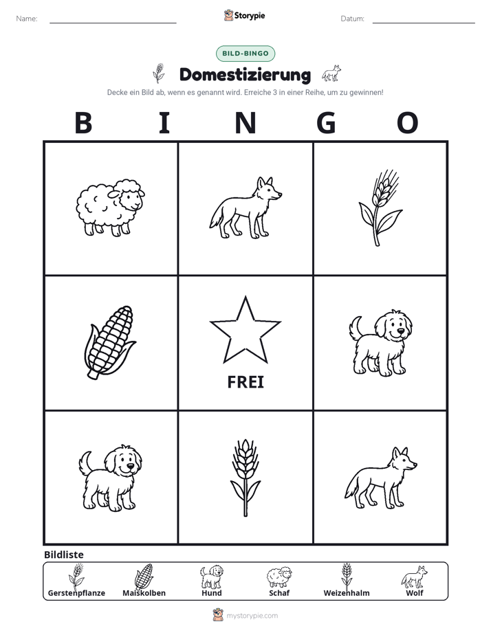 Bild-Bingo