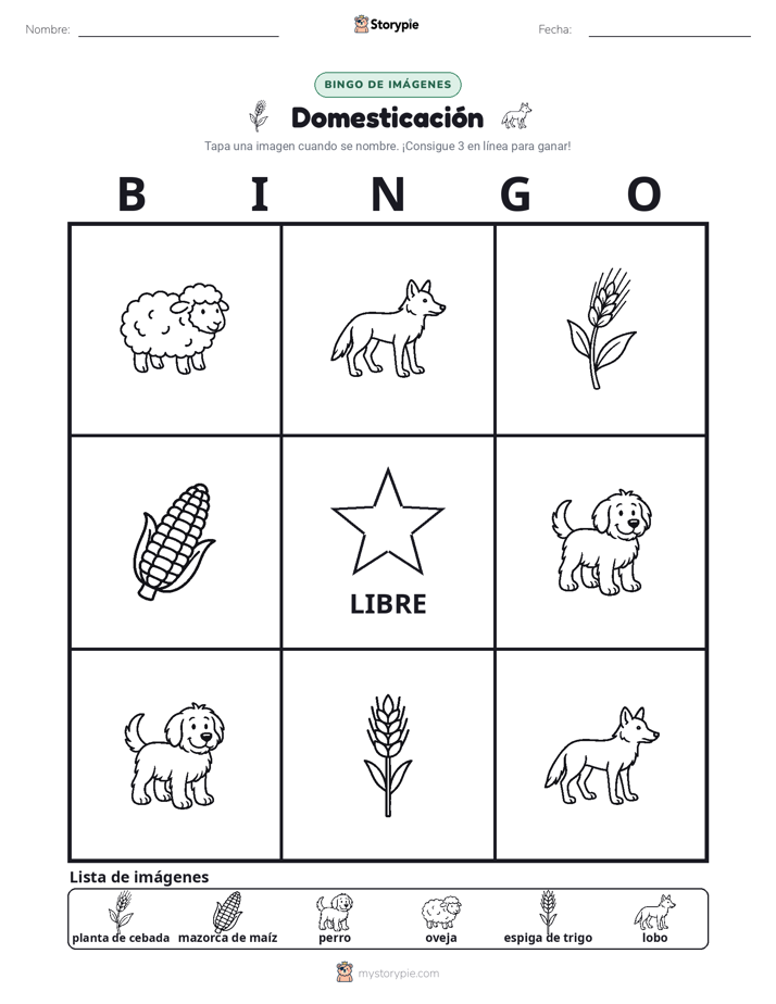 Bingo de Imágenes