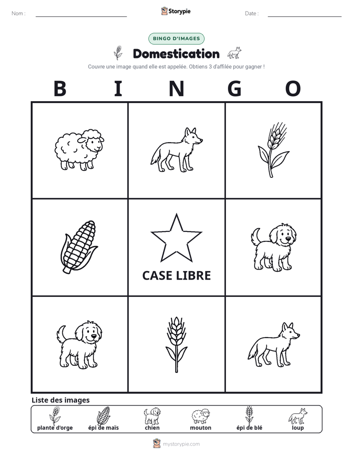 Bingo d'Images