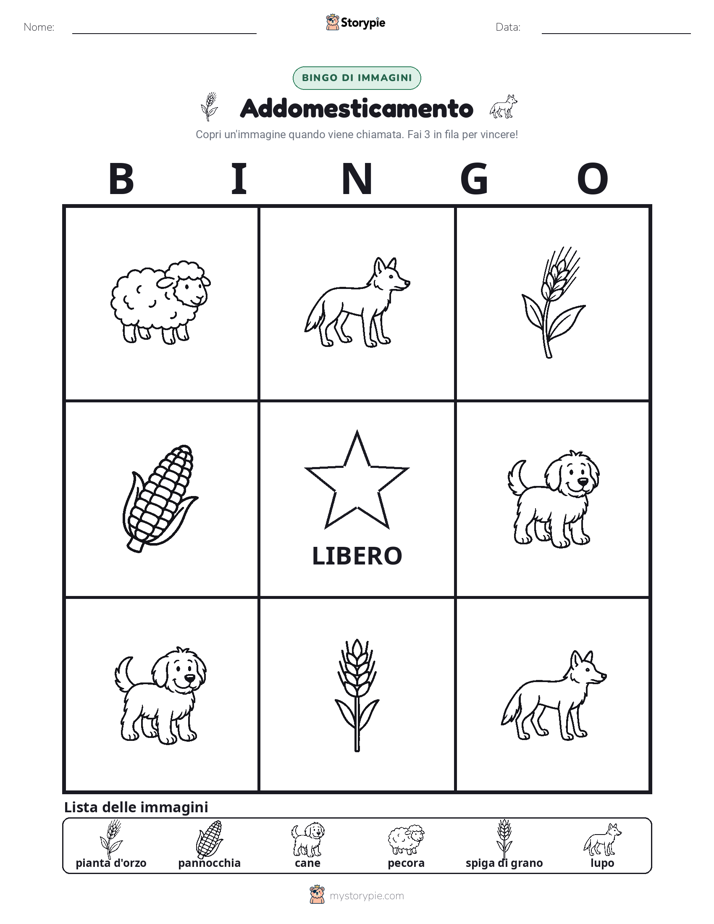 Bingo delle Immagini