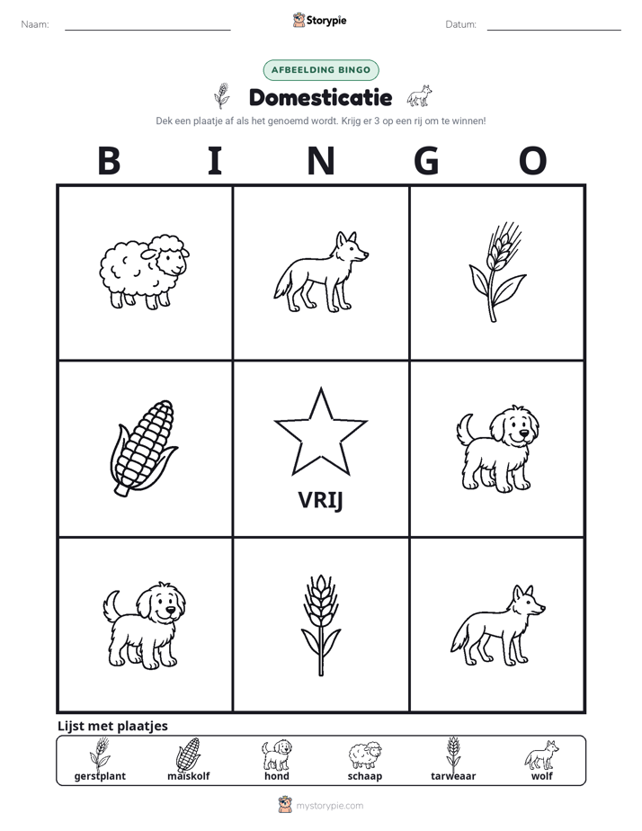 Afbeelding Bingo