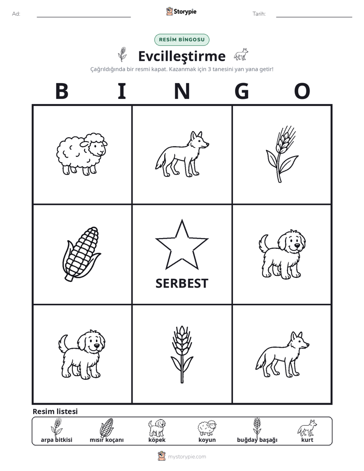 Resim Bingo