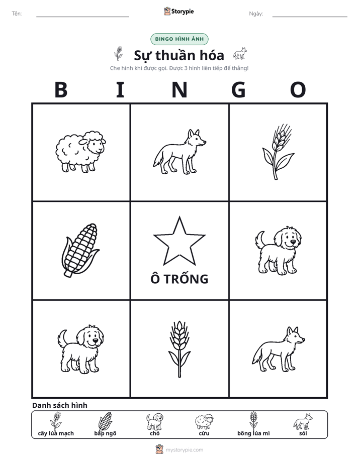 Bingo Hình Ảnh