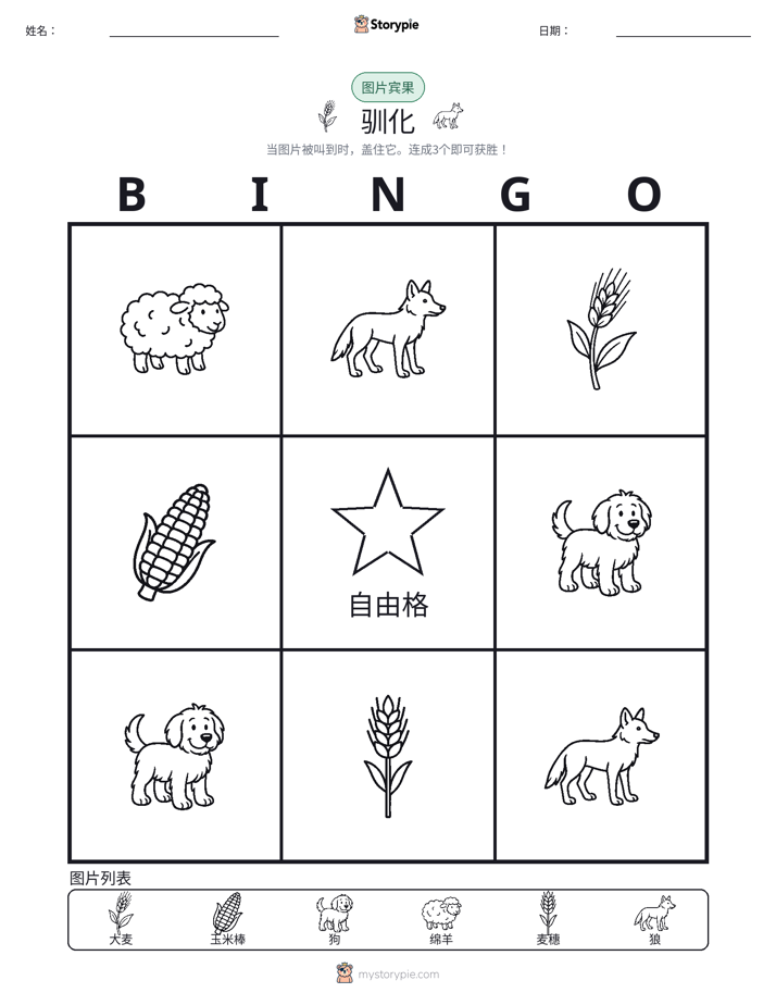 图片宾果