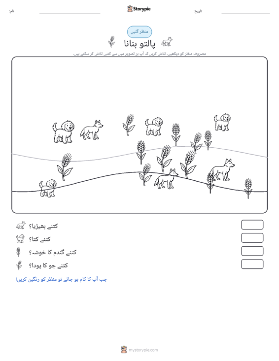 گنتی کا منظر