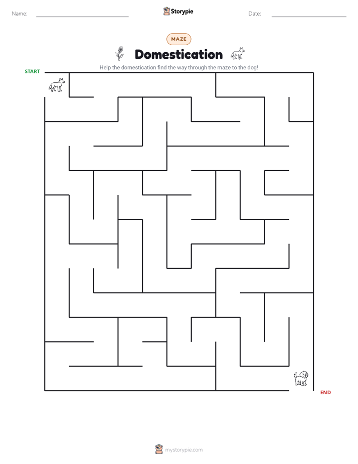 Maze