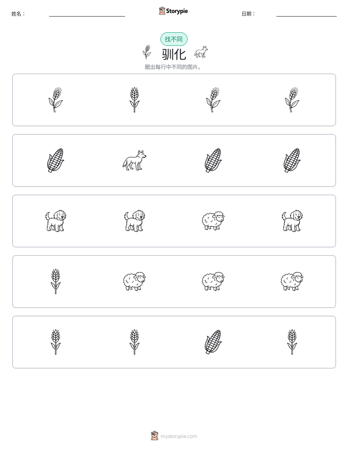 找不同