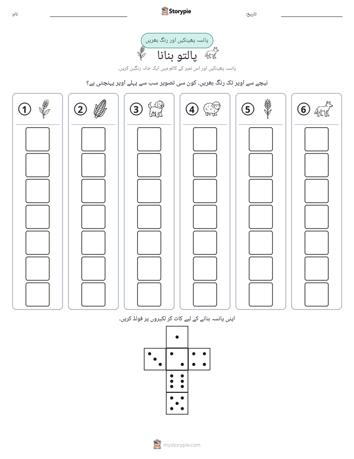 رول اور رنگ