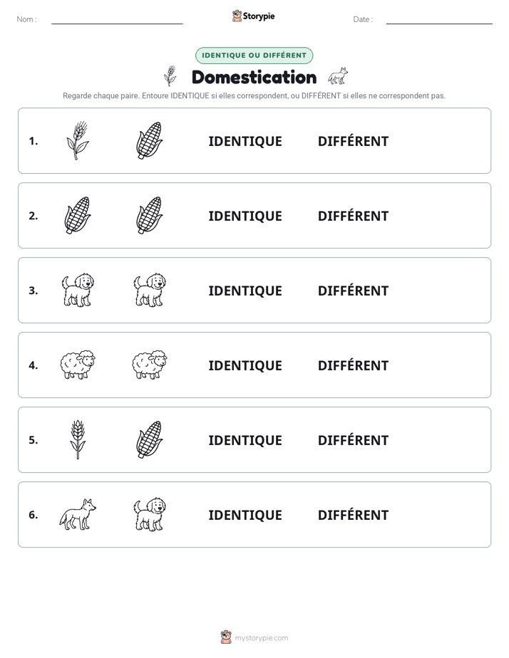 Identique ou Différent
