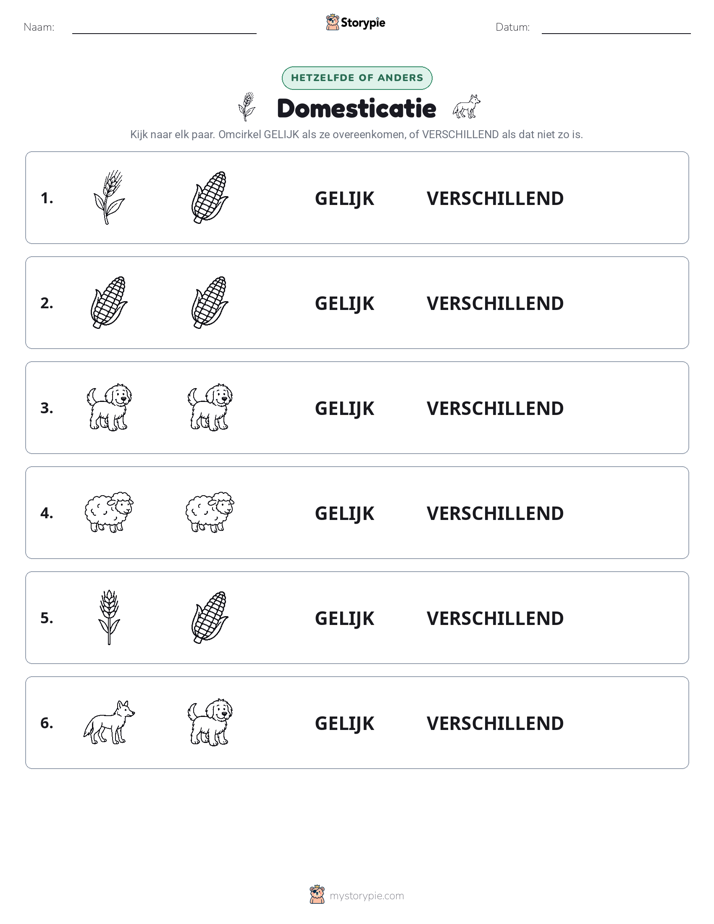 Zelfde of Verschillend
