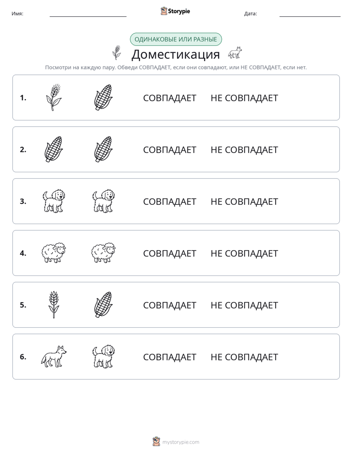 Одинаковое или разное