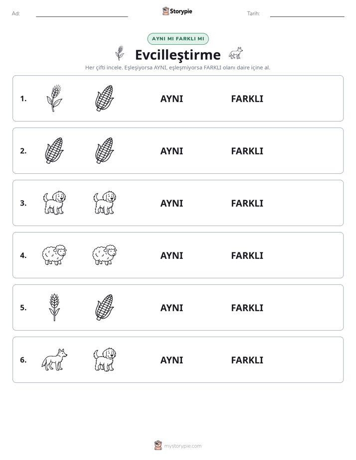 Aynı mı Farklı mı