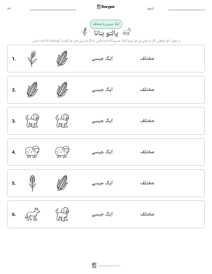 ایک جیسا یا مختلف